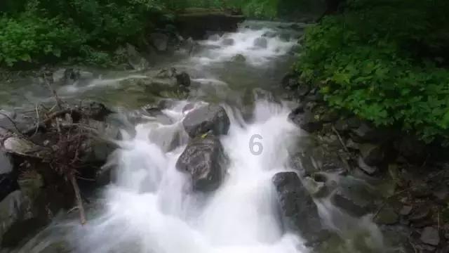 三小只僵尸的游戏时间5